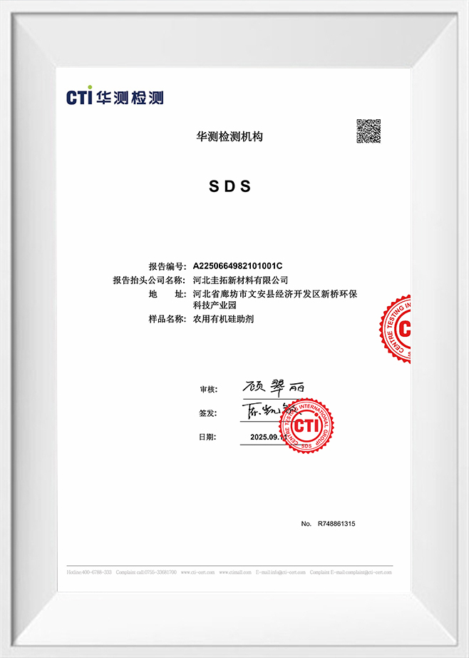 ศูนย์ทดสอบกลุ่มนานาชาติ