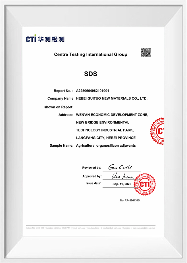 ศูนย์ทดสอบกลุ่มนานาชาติ