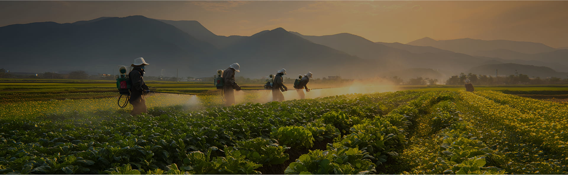 Hebei Guituo ใหม่วัสดุ Co., Ltd.